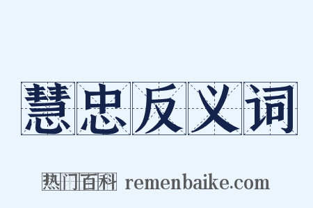 慧忠反义词是什么意思的图片